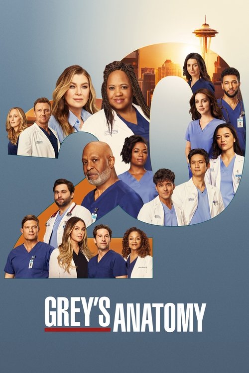 Chirurdzy - plakat serialu S20E09