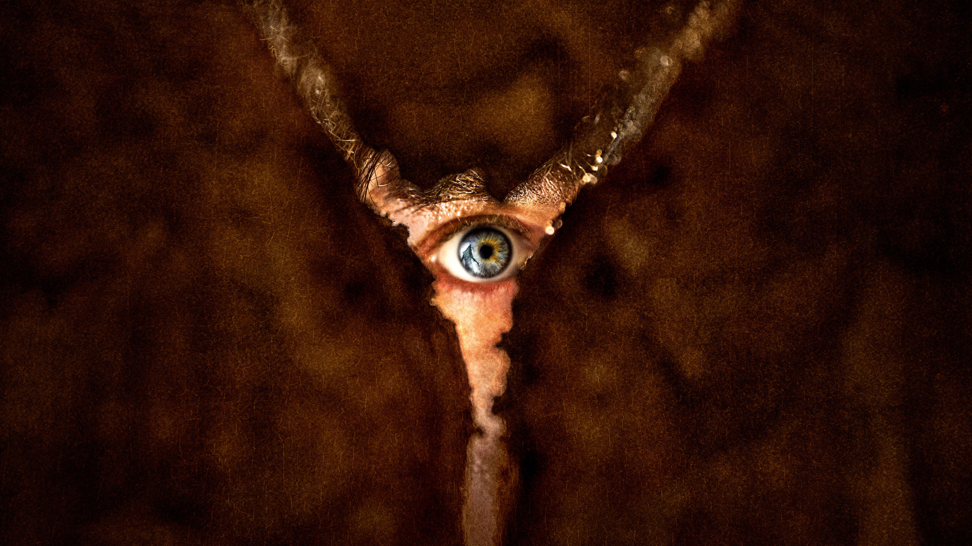 Powrót do Silent Hill