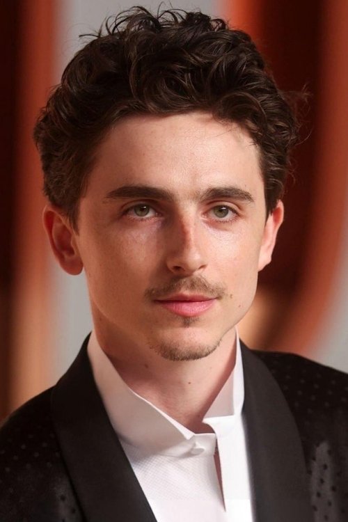 Podobny aktor do Bob Odenkirk: Timothée Chalamet